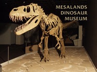 Museum - Meslands Dino Museum